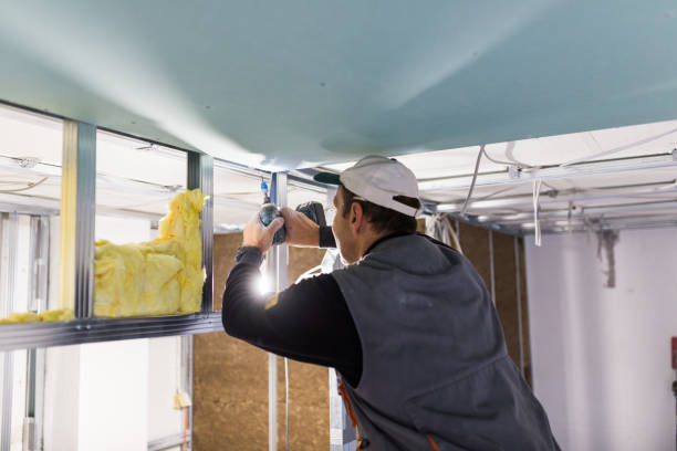 Best Affordable Insulation Services  in Berkeley, IL