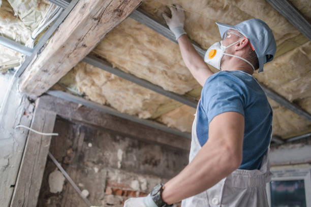 Best Wall Insulation Contractor  in Berkeley, IL
