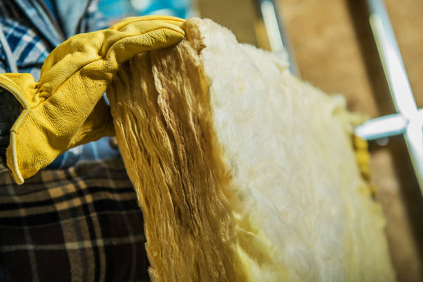 Best Attic Insulation Installation  in Berkeley, IL