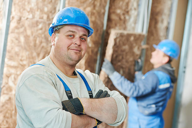 Best Insulation Replacement Services  in Berkeley, IL