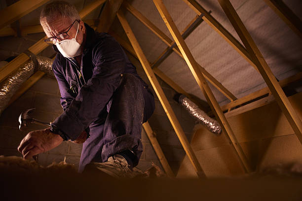 Best Fiberglass Insulation  in Berkeley, IL